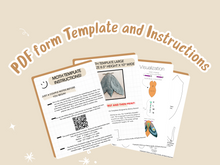 Load image into Gallery viewer, Moth Pottery Template for Slab Building/ 3 Sizes/ Instant PDF Download
